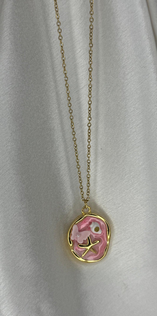 Pink Star fish with shell