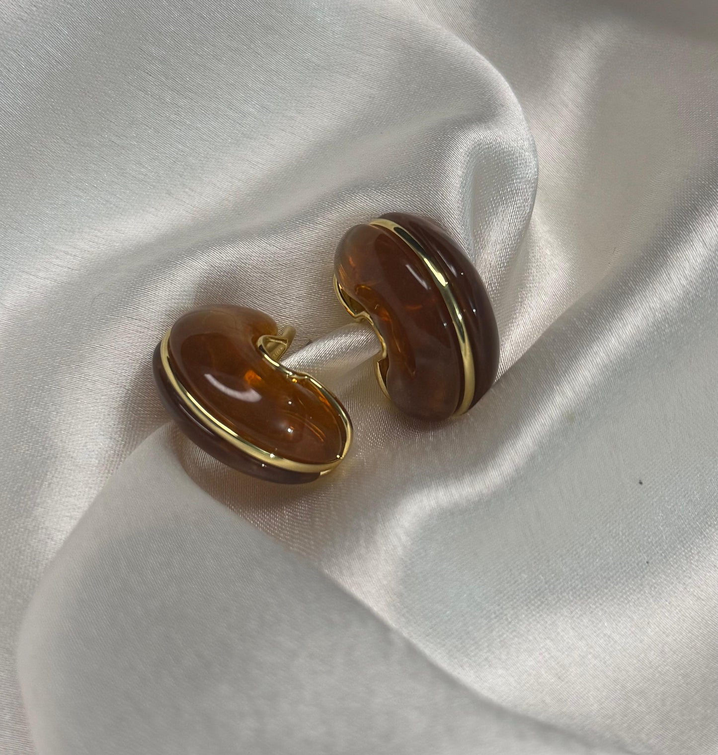 Brown Hoops Earrings